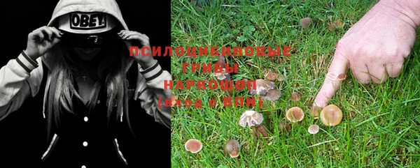 прущий лед Магас