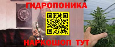 a pvp Абинск