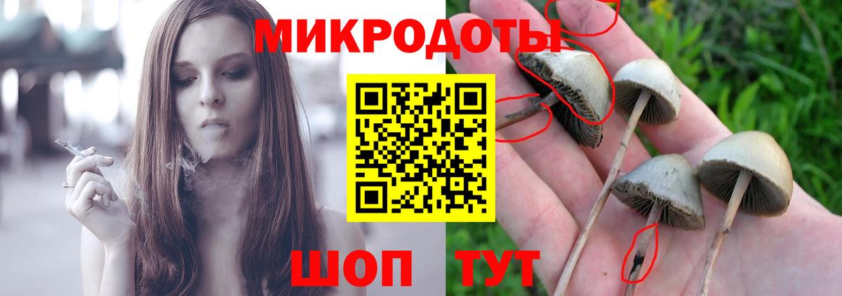 Десногорск  Псилоцибиновые грибы MAGIC MUSHROOMS  Псилоцибиновые грибы MAGIC MUSHROOMS  наркота  Вход с VPN 