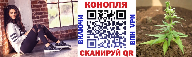Каннабис ГИДРОПОН  Десногорск 